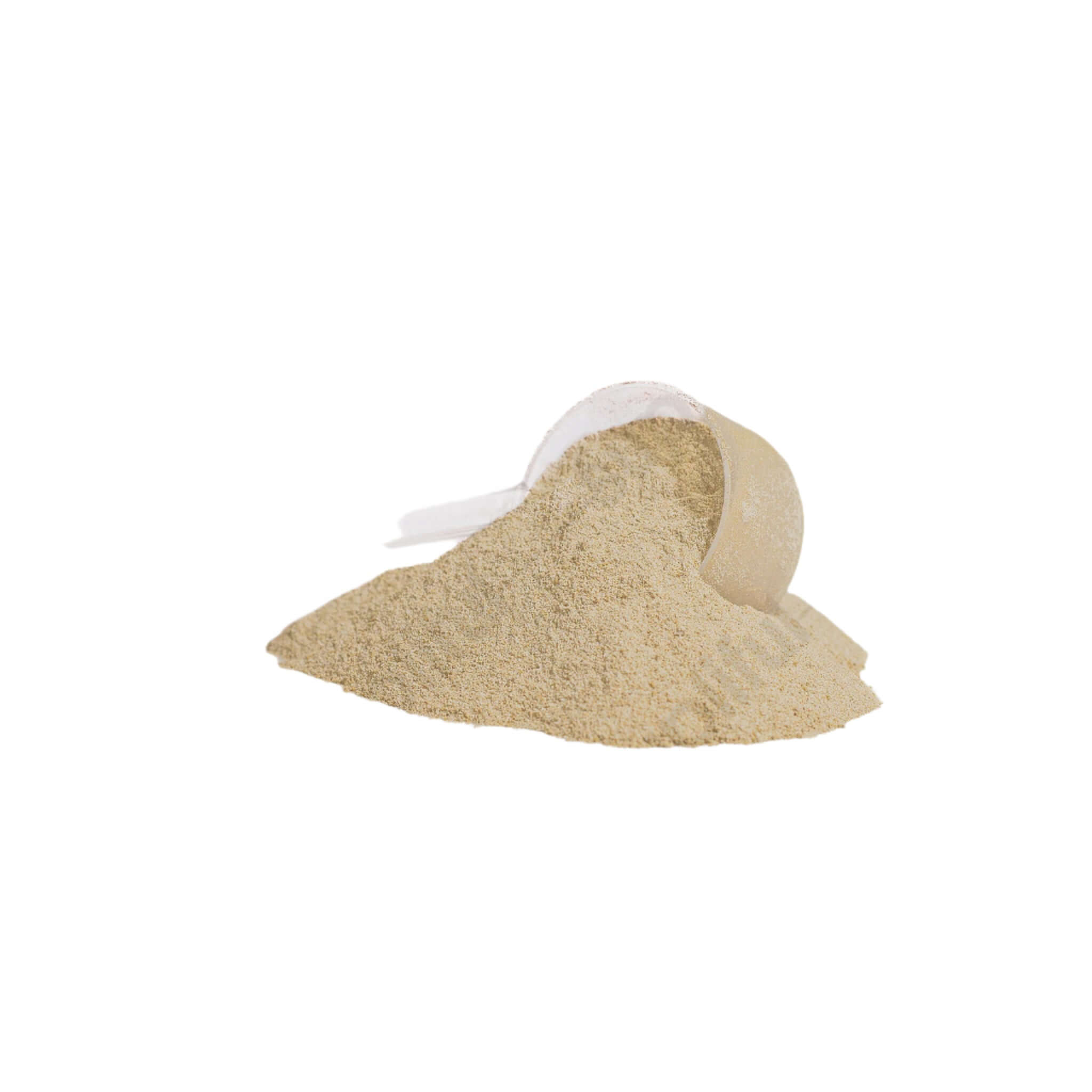 Advanced 100% Whey Protein Isolate (Vanilla)